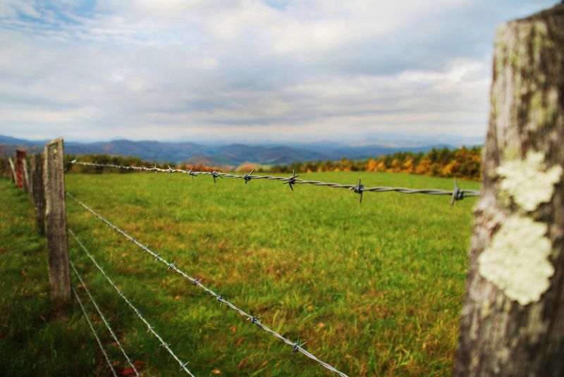 Pasture Fence Repair detail